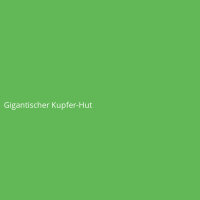 Gigantischer Kupfer-Hut