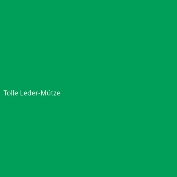 Tolle Leder-Mütze