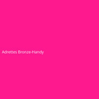 Adrettes Bronze-Handy